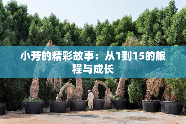小芳的精彩故事：从1到15的旅程与成长