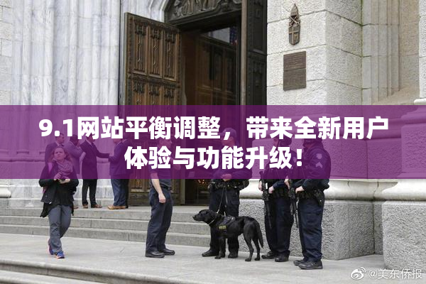 9.1网站平衡调整，带来全新用户体验与功能升级！