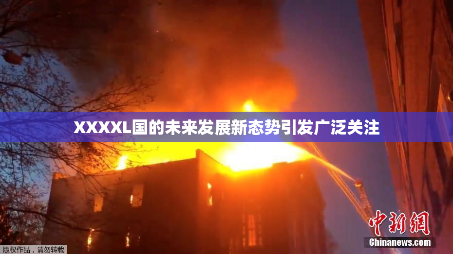 XXXXL国的未来发展新态势引发广泛关注