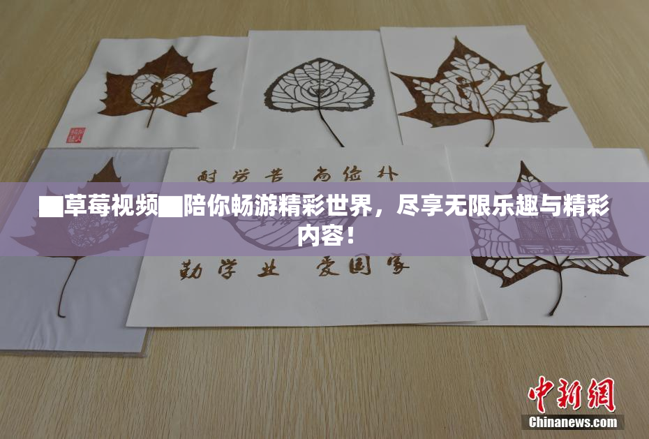 ▇草莓视频▇陪你畅游精彩世界，尽享无限乐趣与精彩内容！