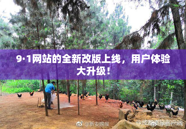 9·1网站的全新改版上线，用户体验大升级！