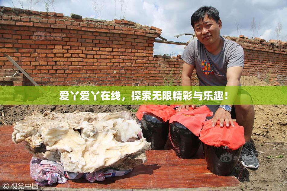爱丫爱丫在线，探索无限精彩与乐趣！