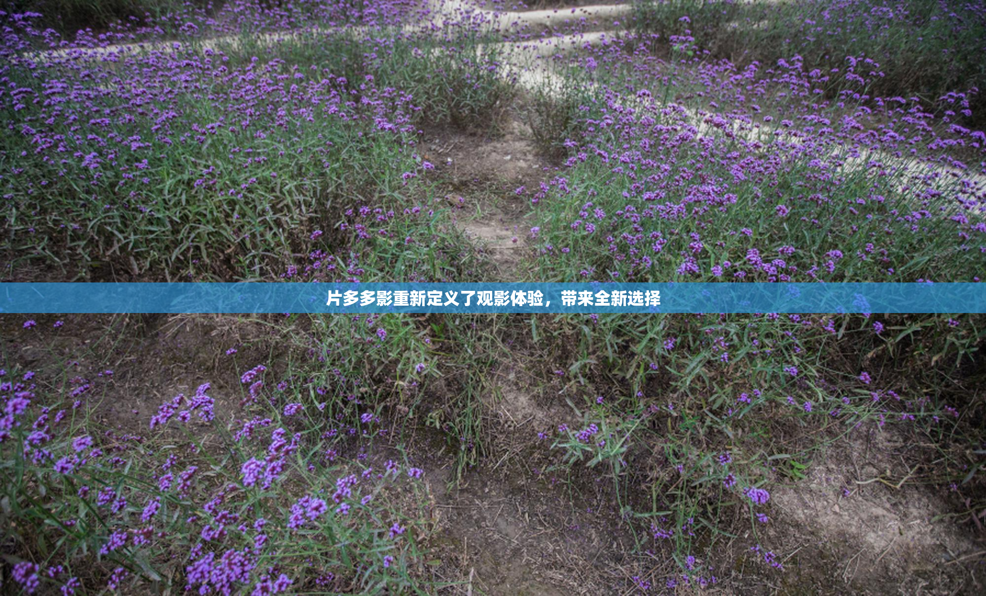 片多多影重新定义了观影体验，带来全新选择