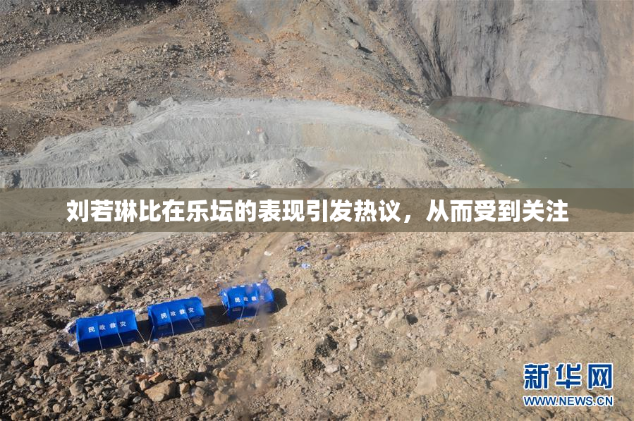 刘若琳比在乐坛的表现引发热议，从而受到关注