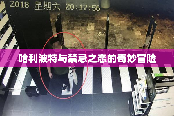 哈利波特与禁忌之恋的奇妙冒险