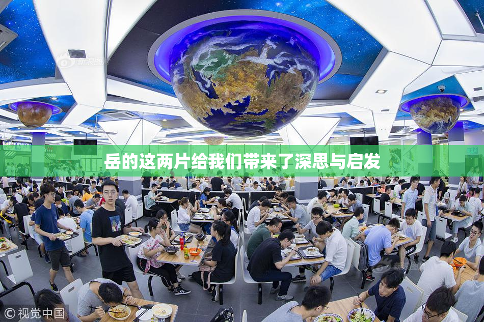 岳的这两片给我们带来了深思与启发