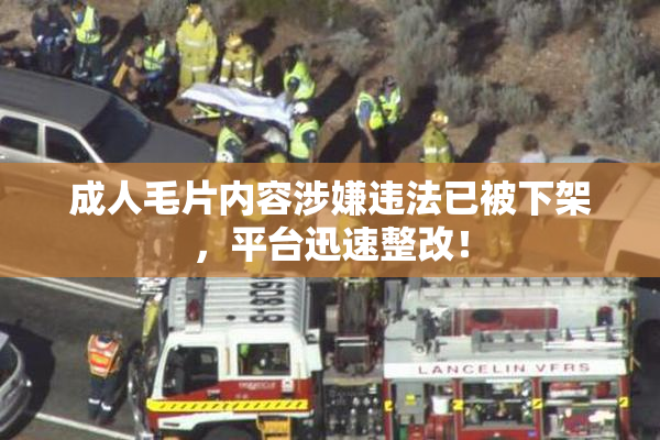 成人毛片内容涉嫌违法已被下架，平台迅速整改！