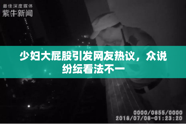 少妇大屁股引发网友热议，众说纷纭看法不一