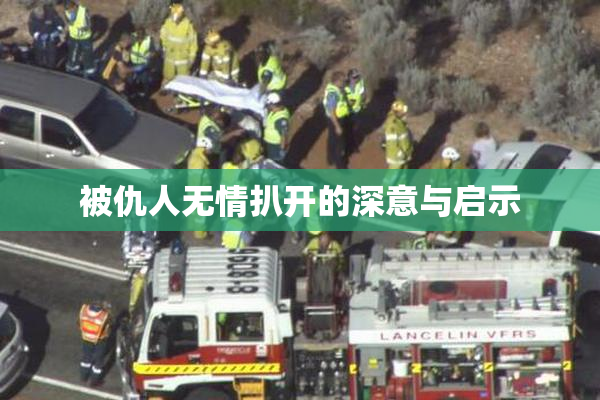 被仇人无情扒开的深意与启示