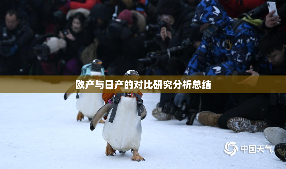 欧产与日产的对比研究分析总结