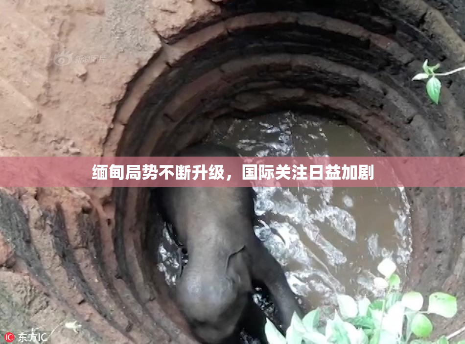 缅甸局势不断升级，国际关注日益加剧