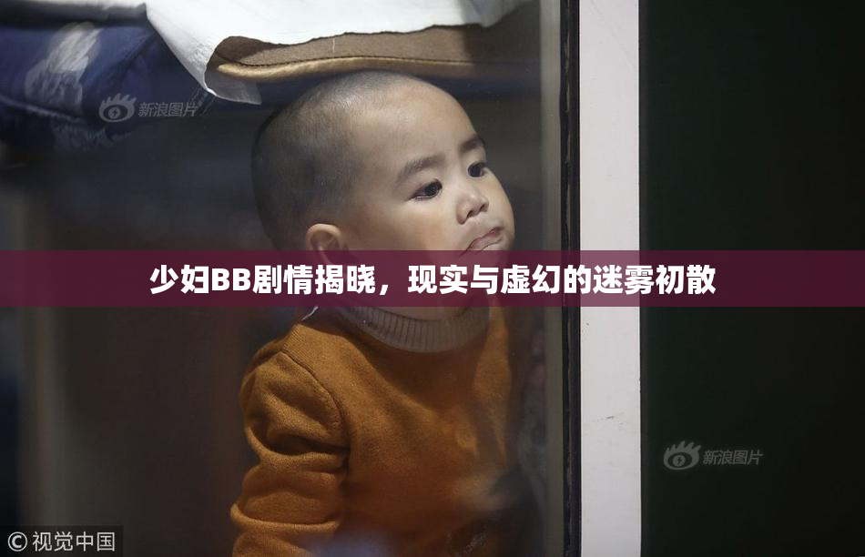 少妇BB剧情揭晓，现实与虚幻的迷雾初散