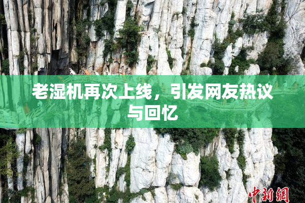 老湿机再次上线，引发网友热议与回忆