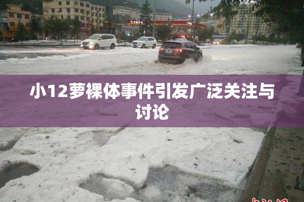 小12萝裸体事件引发广泛关注与讨论