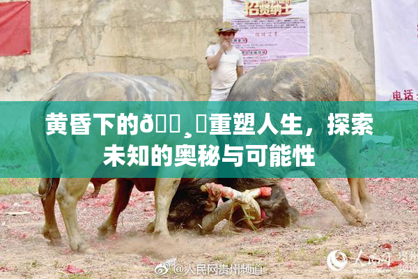 黄昏下的🌸‌重塑人生，探索未知的奥秘与可能性