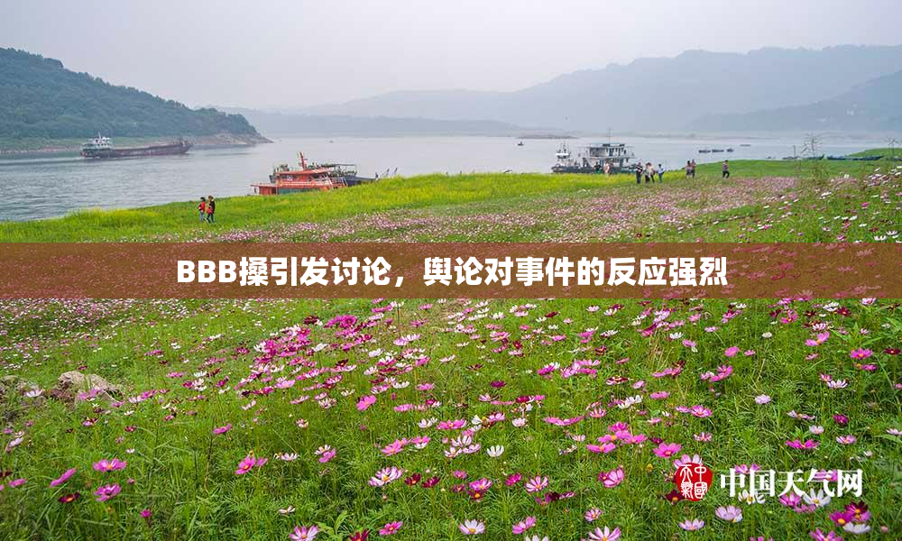 BBB搡引发讨论，舆论对事件的反应强烈