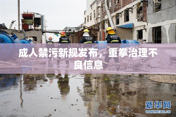 成人禁污新规发布，重拳治理不良信息