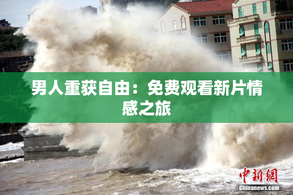 男人重获自由：免费观看新片情感之旅