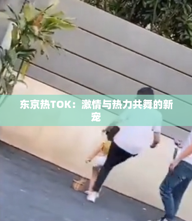 东京热TOK：激情与热力共舞的新宠
