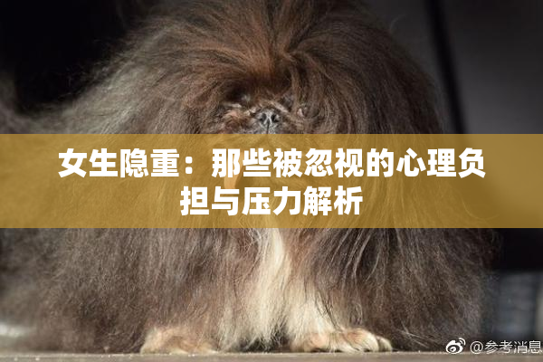 女生隐重：那些被忽视的心理负担与压力解析