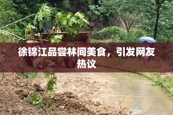 徐锦江品尝林间美食，引发网友热议