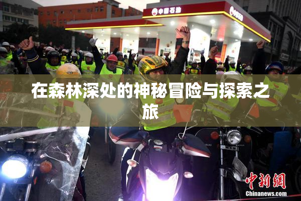 在森林深处的神秘冒险与探索之旅
