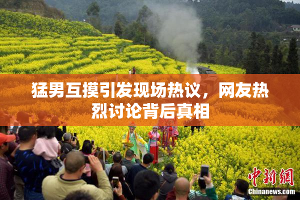 猛男互摸引发现场热议，网友热烈讨论背后真相