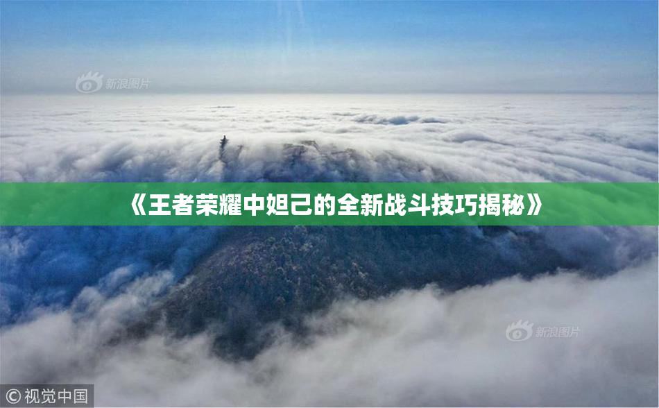 《王者荣耀中妲己的全新战斗技巧揭秘》