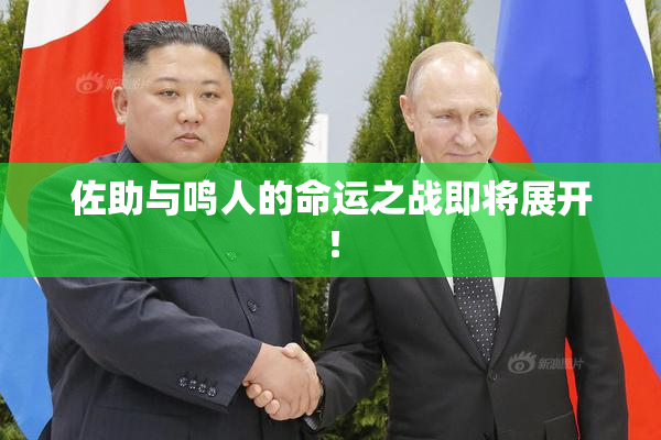 佐助与鸣人的命运之战即将展开！