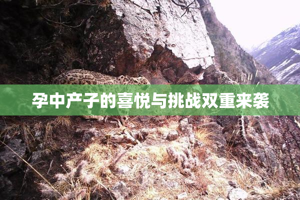 孕中产子的喜悦与挑战双重来袭