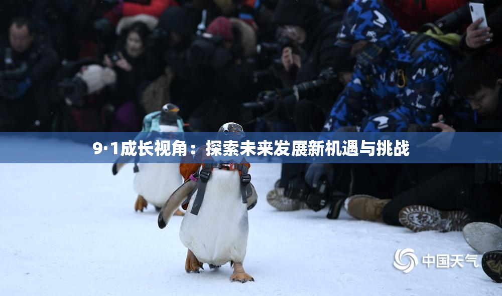 9·1成长视角：探索未来发展新机遇与挑战
