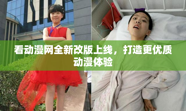 看动漫网全新改版上线，打造更优质动漫体验