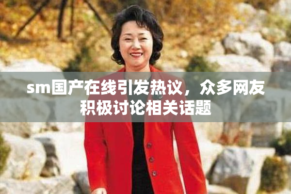 sm国产在线引发热议，众多网友积极讨论相关话题