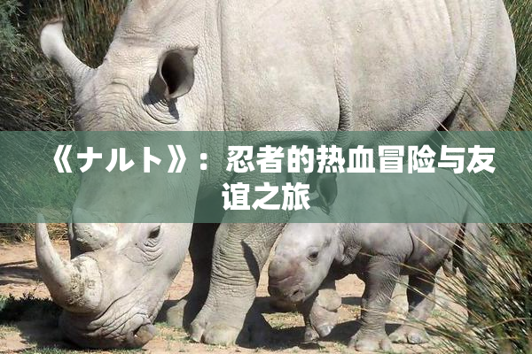 《ナルト》：忍者的热血冒险与友谊之旅