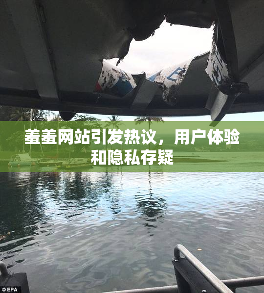 羞羞网站引发热议，用户体验和隐私存疑