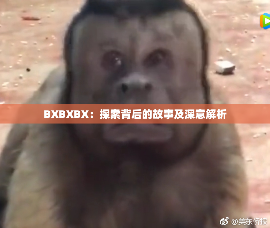 BXBXBX：探索背后的故事及深意解析