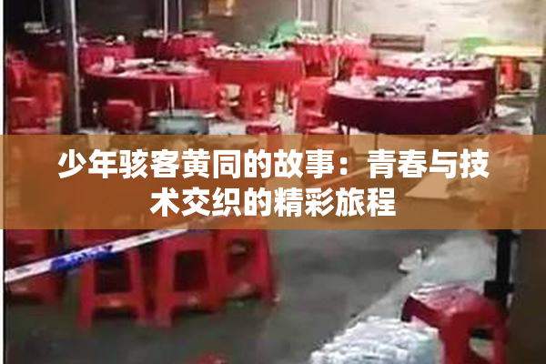 少年骇客黄同的故事：青春与技术交织的精彩旅程