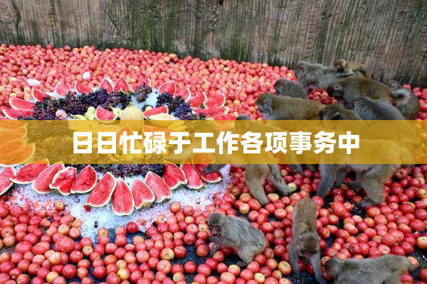 日日忙碌于工作各项事务中