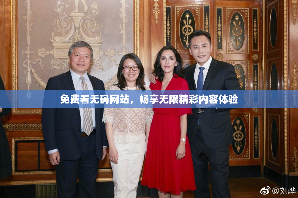 免费看无码网站，畅享无限精彩内容体验