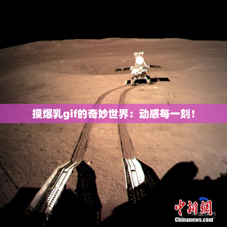 摸爆乳gif的奇妙世界：动感每一刻！