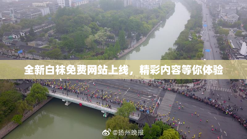 全新白袜免费网站上线，精彩内容等你体验