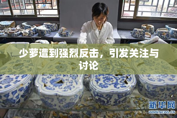 少萝遭到强烈反击，引发关注与讨论