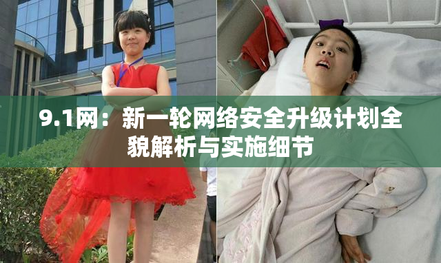 9.1网：新一轮网络安全升级计划全貌解析与实施细节
