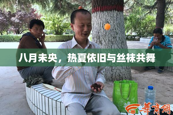 八月未央，热夏依旧与丝袜共舞