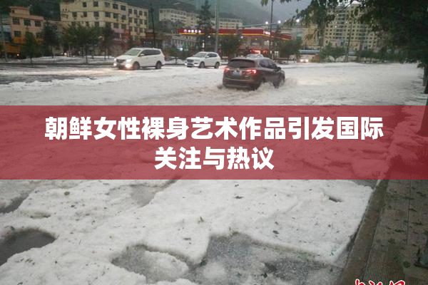 朝鲜女性裸身艺术作品引发国际关注与热议