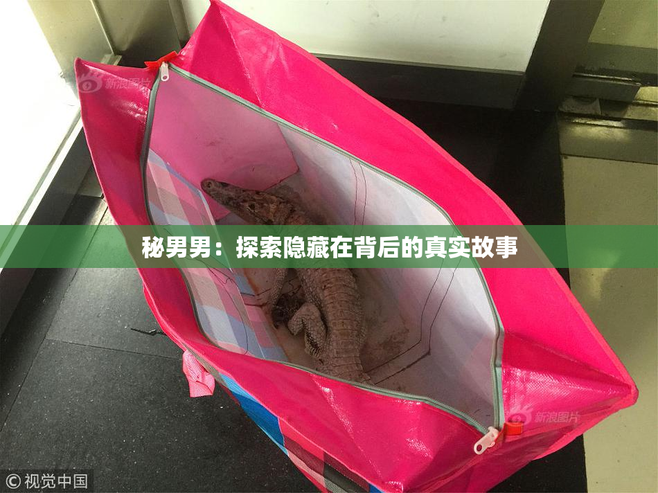 秘男男：探索隐藏在背后的真实故事