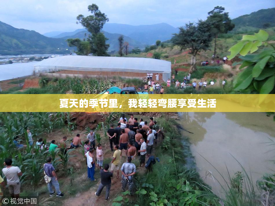 夏天的季节里，我轻轻弯腰享受生活