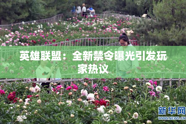英雄联盟：全新禁令曝光引发玩家热议