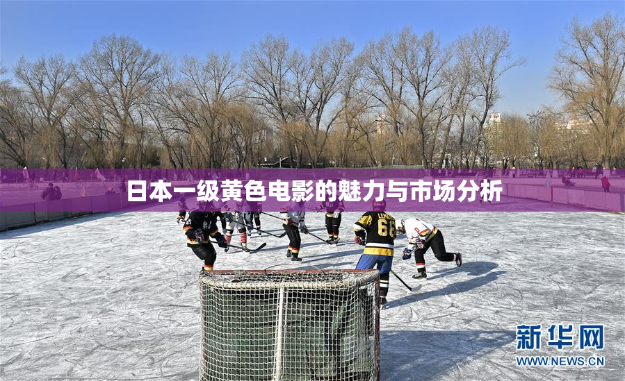 日本一级黄色电影的魅力与市场分析