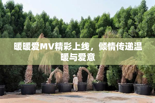 暖暖爱MV精彩上线，倾情传递温暖与爱意